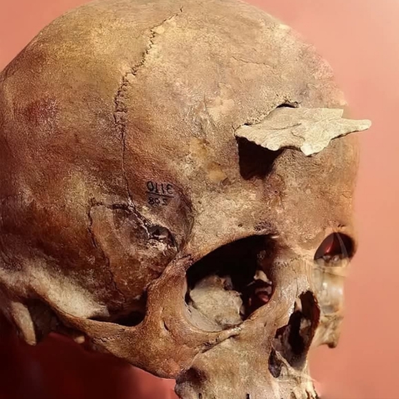 Meet your Posher, Kim - Picture 2 of 8